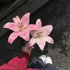 Pegatinas de diamantes, materiales de decoración para empaques de flores, pegatinas de cielo estrellado 3D, pegatinas para cara de belleza, pegatinas de maquillaje, pegatinas de cristal al por mayor