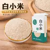 Millet branco embalado a vácuo, millet branco glutinoso aromático, cinco grãos da fazenda, grãos grossos para mingau, pode ser enviado diretamente, atacado, varejo