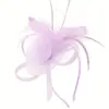 Diadema Caliente Transfronteriza Malla Pluma Tocado Retro Elegante Diadema Versátil Accesorios para el Cabello Fiesta Actuación Flor para el Cabello