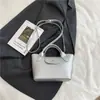 Mini Bolso Tote Cuadrado de Alta Calidad Transfronterizo Mini Bolso de Mano Cesta de Verduras Nuevo Bolso Dumpling Bandolera de Hombro Único para Mujer