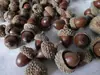 Decoración de Piña Materias Primas Guirnalda Navideña de Vid Frutas Secas Flores Secas Paquete Plantación Hecho a Mano DIY Piñas Creativas Bayas