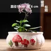 Vaso de flor suculenta cerâmica vaso de árvore velha diâmetro grande liquidação combinação especial cerâmica grossa retangular com prato criativo