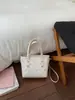 Bolso de Mano de Lujo de Gama Alta de Nicho para Mujer, Nuevo Modelo de Primavera 2026, Bolso Cubo Elegante y Versátil para Hombro o Cruzado