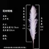Capim Grande Vietnamita Flor Seca de Yunnan Buquê Decoração Fofo Fotografia de Casamento Paisagismo de Teto a Chão Flor Imortal Natural