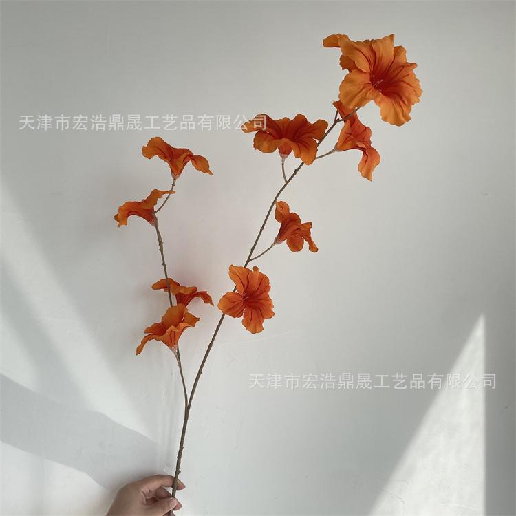 微信图片_202209081728224