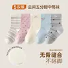 Meias Infantis Primavera/Outono 2026 Classe A Meia-Calça Algodão Estilo Coreano Meninas Antibacterianas Anti-Pilling Sem Costura Meias para Meninas