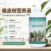 Solución nutriente para árbol de caucho, fertilizante para amarillamiento, caída de hojas y marchitamiento, específicamente para árboles de caucho Black Diamond, fertilizante líquido para plantas en maceta