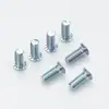 Tornillos Personalizados Remaches de Cabeza Redonda Zinc Azul Fh-M2.5M3M4M5 Largos 5-25mm Acero al Carbono Tornillos de Remachado a Presión Personalizados