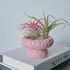 Plantas de Oficina Hidropónicas de Alta Calidad Plantas en Maceta Piña Negra Plantas Verdes de Escritorio Suculentas Adornos para Estación de Trabajo