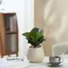 Ins Jiuli Escandinavo Planta Verde Fragante en Maceta Florales Oficina Sala de Estar Escritorio Interior Adornos Purificar el Aire y Eliminar Formaldehído