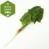 Juguete de Berenjena Grande Modelo de Fruta Vegetal Falsa Biónica Arreglo de Escena Adorno de Cocina Accesorio de Fotografía Vegetal de Imitación