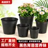 Maceta Negra Engrosada para Plántulas Taza de Plántulas para Jardinería Maceta de Plástico Nutritiva para Trasplante de Suculentas Verduras Flores Maceta para Plántulas