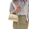 Moda nova transfronteiriça temperamento elegante renda tecida palha tecida personalidade ombro único transversal pequena quadrada bolsa feminina fábrica customizada
