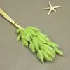 Flores Secas, Cola de Conejo, 60 Piezas/Manojo, Ramo de Lujo Ligero, Adornos de Flores Reales, Pequeño Ramo de Flores Eternas Regalo, Materiales de Flores Reales