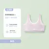 Ropa interior para niñas de 12 a 16 años Chaleco deportivo a prueba de impactos para el período de desarrollo Adolescentes Estudiantes de secundaria y preparatoria Ropa interior Sujetador