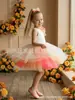 Día del Niño Disfraz de Performance Anfitrión Sencillo Fiesta de Cumpleaños Vestido de Princesa de Malla Voluminoso Brillante Vestido Colorido Transfronterizo