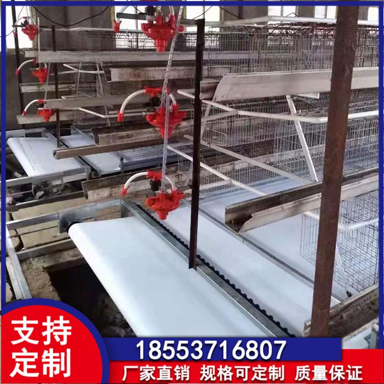 粪带17