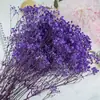 Pacote de Material DIY Flor Eterna 1g Gradiente Cabeça Grande Mosquitinho Estrela Milionária Buquê de Flores Secas Flor Eterna Flor Real