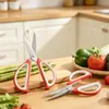 Tesoura de Alfaiate Poderosa para Estudantes, Tesoura de Arte Feita à Mão, Tesoura de Cozinha Doméstica para Cortar Carne, Legumes e Peixes, Tesoura Multifuncional