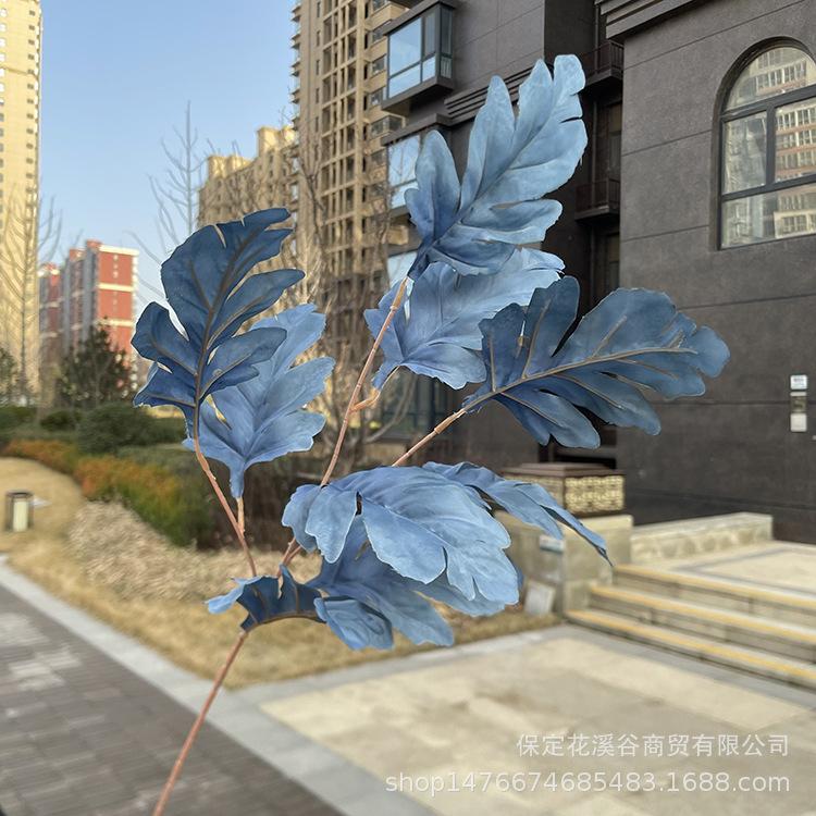 雾蓝.JPG