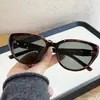 Óculos de Sol Estilo Gatinho Ins Europeus e Americanos para Mulheres, Óculos de Sol Polarizados de Alta Qualidade para Homens, Proteção UV, Óculos de Influenciador Estilo de Rua