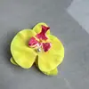 Grampo de Cabelo Phalaenopsis com Atmosfera Super Feérica para Mulheres Flor de Cabeça Mori Clipe de Bico de Pato Lateral Placa Traseira do Cabelo Clipe de Fixação de Cabelo Grampo de Cabelo