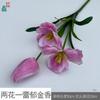 Tulipa Flor de Três Pétalas Duas Folhas Tulipa Florindo Cinco Flores Decoração de Sala de Estar em Casa Flor Artificial Flor de Casamento Obra de Arte Flor de Seda