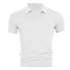Camisa Polo Manga Curta Estilo Americano Transfronteiriça Aliexpress Estilo Verão Casual Gola Lapela Cor Sólida Jovem Masculina Secagem Rápida Camiseta de Negócios