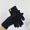 Guantes de Lana Tejida de Color Sólido para Hombre Estilo Coreano Transfronterizos Cálidos Otoño e Invierno Antifrío Dedo Completo Pantalla Táctil Simples Versátiles