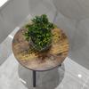 Estilo Nórdico Interior Desmontable Soporte Metálico para Plantas Balcón Jardín Mesa para Plantas Sala de Estar Lado del Sofá Mesa Redonda Pequeña Mesa de Centro