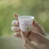 Taza de Degustación de Té Pintada a Mano con Polvo de Albaricoque Moji Juego de Té Kung Fu Taza de Té Pequeña para el Hogar Color Rompiente Bajo Esmalte Rima Cerámica Taza Individual