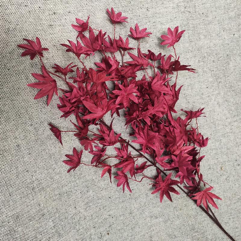 酒红色
