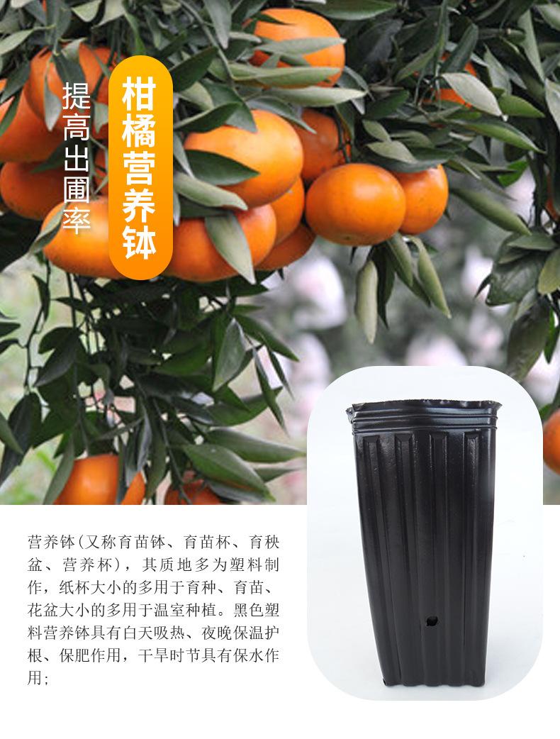 详情_03.jpg