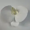Cabeça de Flor de Orquídea em Filme 3D Simulada, Decoração de Caixa de Presente Artesanal, Adorno de Cabeça de Guirlanda de Flores, Flor Artificial DIY Feita à Mão