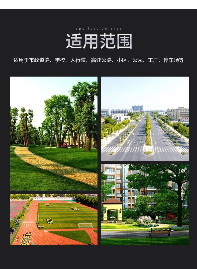 未标题-1_12.jpg