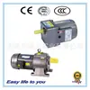 HOULE Fornecimento Motor de Redução Micro Motor com Redução por Engrenagem Motor de Velocidade Fixa 1.5kw/6w