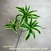 Plantas Verdes Estilo Floresta Simulada e Paisagens com Folhas Verdes, Arranjos Florais para Casamentos em Hotéis Estilo Floresta ao Ar Livre, Projetos de Paisagismo para Ruas e Jardins
