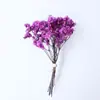 Flores Secas Transfronterizas, Gypsophila, Flores de Cristal, Mini Ramos, Ramos de Punta de Dedo Mezclados y Combinados, Cajas de Regalo, Decoraciones para Tarjetas de Felicitación