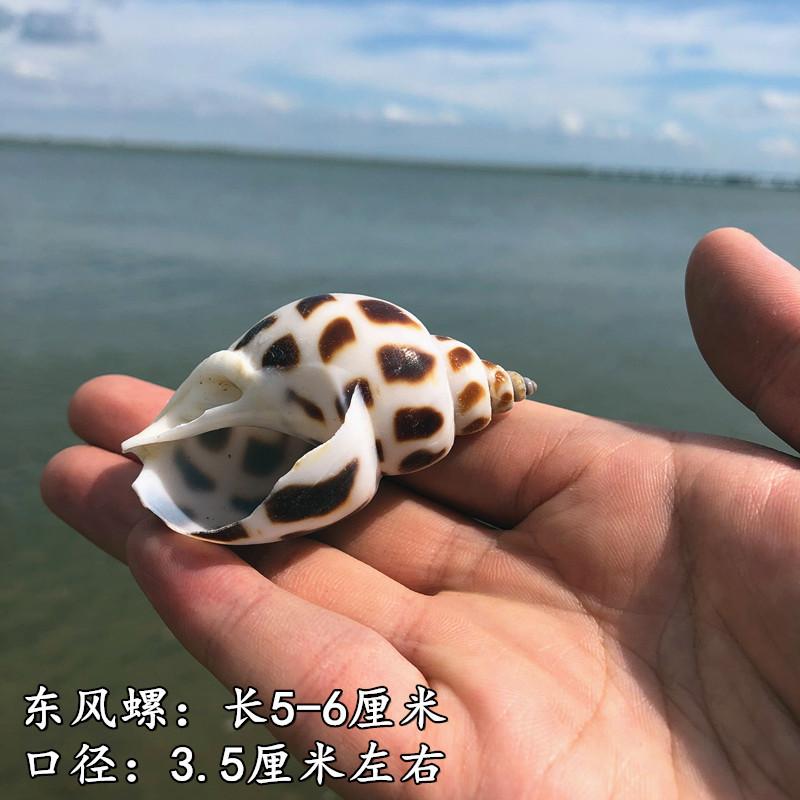 QQ图片20190901111541.jpg