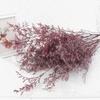 Flor eterna para amantes de la hierba, flores secas frescas para el día de San Valentín, flores eternas secas, material para flores, accesorios para fotografía de flores a juego