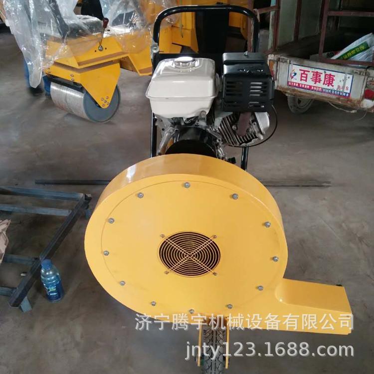 手推式汽油吹风机4