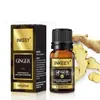 Comercio Exterior Transfronterizo Aceite Esencial de Aromaterapia 10ml Ambientador con Lavanda, Árbol de Té, Limón, Agua de Rosas Fragancia Soluble en Agua