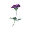 Linda Sakura com Galhos Espécime de Planta Flor Real Flor Seca Gota de Cola em Relevo Capa de Celular Marcador de Página Luminária de Mesa Adesivo Decoração Facial
