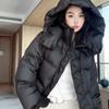 Chaqueta de Algodón Estilo Nuevo 2026 para Mujer, Abrigo de Algodón Grueso Corto de Invierno a la Moda, Chaqueta Acolchada de Algodón Diseño Holgado Estilo Coreano, Ropa Exterior para Estudiantes