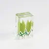 Flores Secas Pueblo del Libro Artesanías de Resina Especímenes de Plantas Materiales Didácticos para Estudiantes Adornos de Pegamento de Flores Inmortales Recuerdos de Viaje