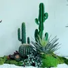 Combinação de Cacto Artificial e Cacto Colunar, Plantas Suculentas, Plantas Verdes Falsas, Conjunto de Paisagismo Artificial Marroquino