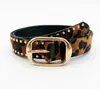 Novo Cinto Feminino com Inlay de Estampa de Leopardo Moda de Alta Qualidade Tendência Versátil Decorativo Popular Europeu e Americano Cinto Transfronteiriço
