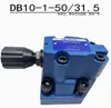 Válvula de alívio operada hidraulicamente Rexroth DB10-1-50B/315 200 DB20 DB30 válvula reguladora de pressão 31.5