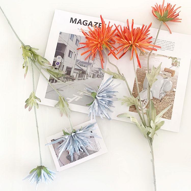 IMG_8021(20220721-111241)