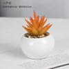 Planta verde artificial de simulación, flor carnosa de plástico, planta en maceta, decoración de ventana de escritorio, bonsái pequeño, mesa de comedor, mini flor.